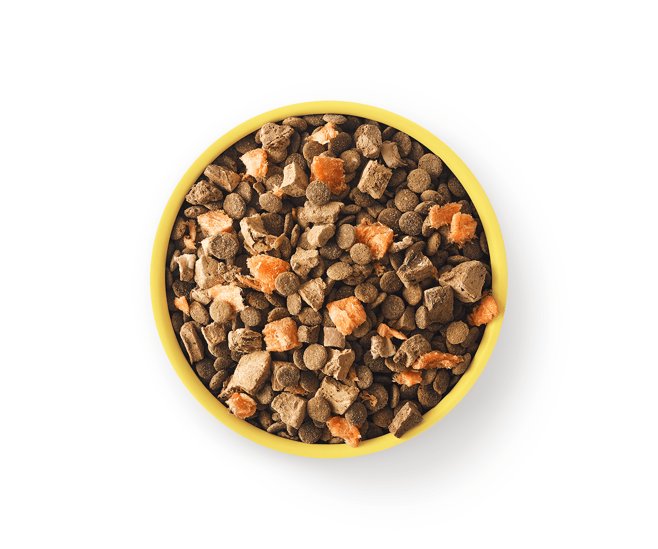 DOG_CHIC_KIBBLE_33