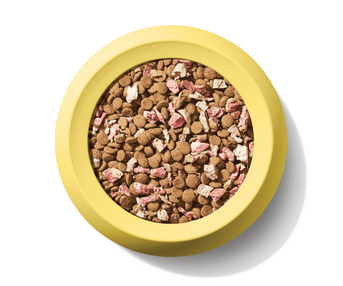 Cat RawBlend33_Chicken_food