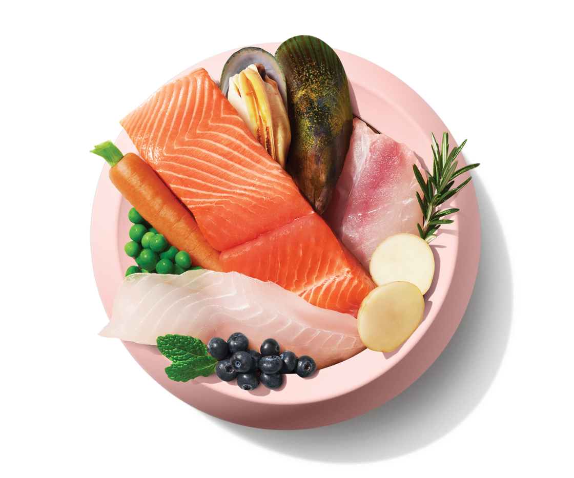 Cat RawBlend33_Fish _fresh