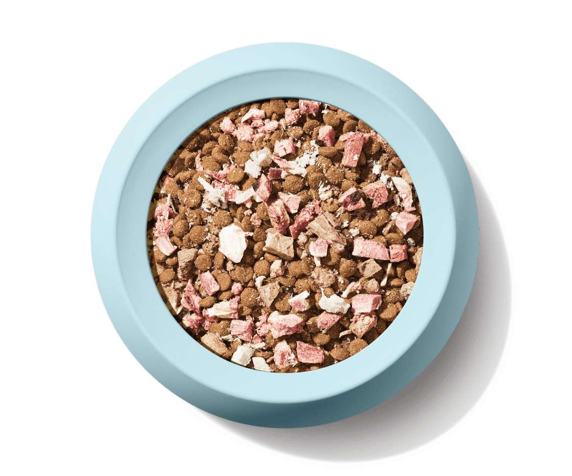 Cat SuperBlend50_Beef_food