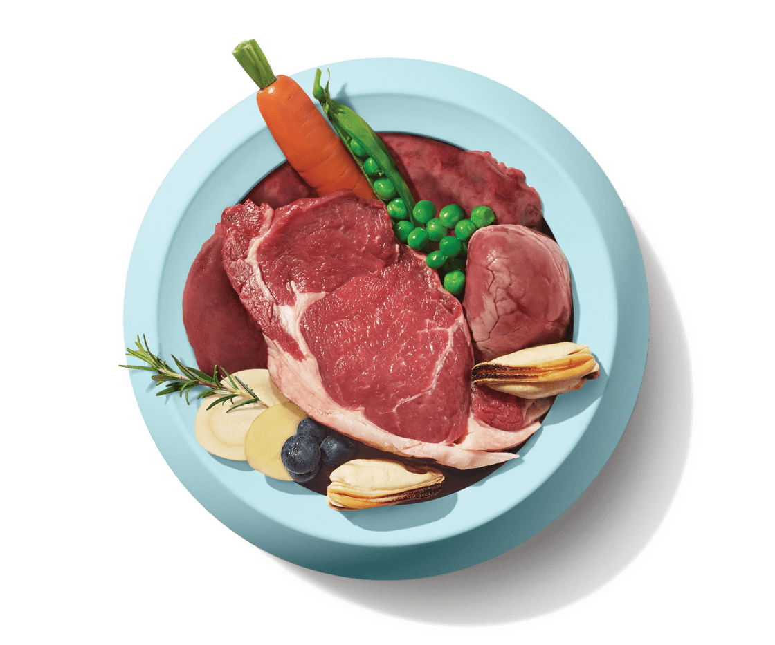 Cat SuperBlend50_Beef_fresh