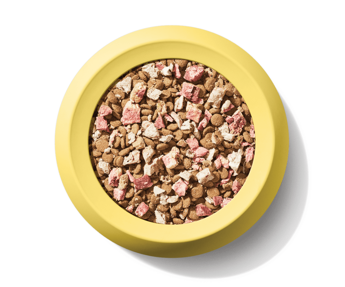 Cat SuperBlend50_Chicken_food