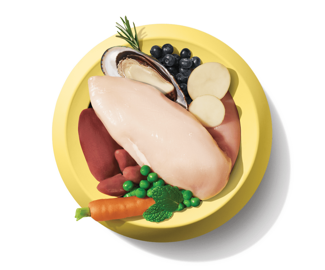 Cat SuperBlend50_Chicken_fresh