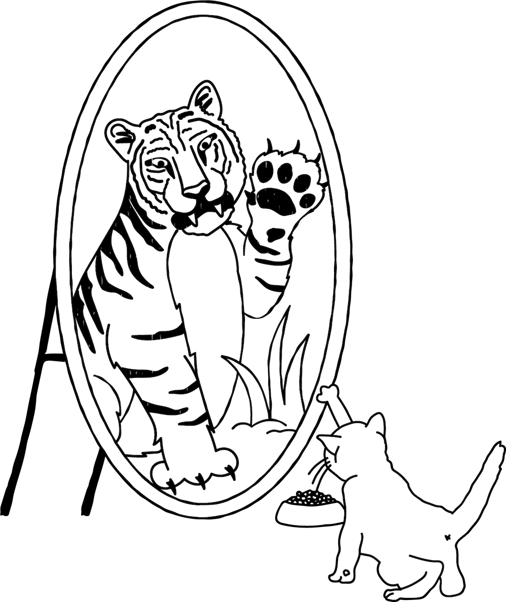Cat-Tiger-Mirror