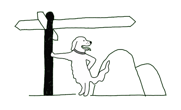 Dog-road-sign