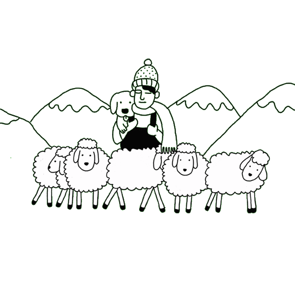 Hiker-with-merino-sheep