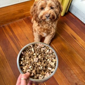 dog-rawmix50-lamb-ugc