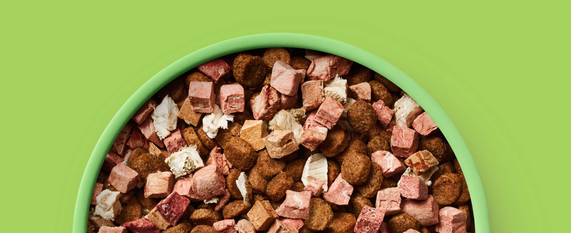 petfood bowl